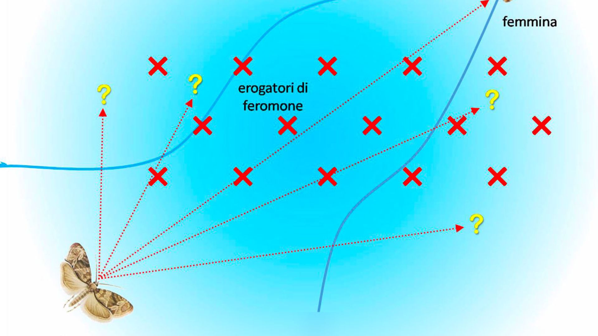 RAK 5 – Feromoni per la confusione sessuale